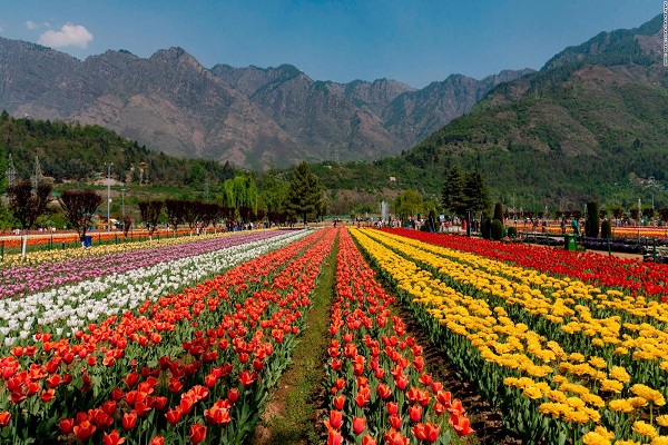 Kashmir